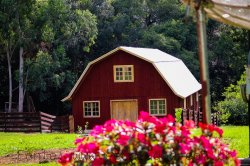Pousada Sítio Campina da Casa