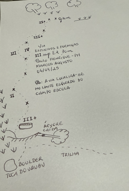 Espinhos e Formigas