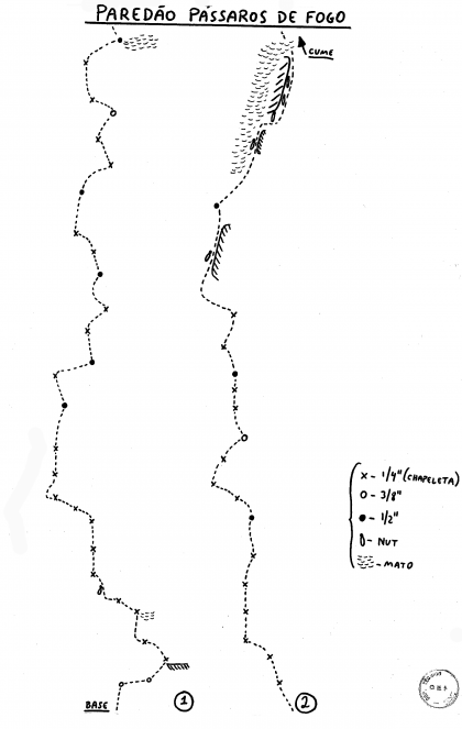 Pássaros de Fogo