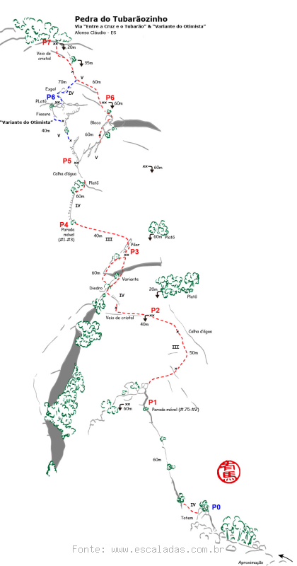 Entre a Cruz e o Tubarão