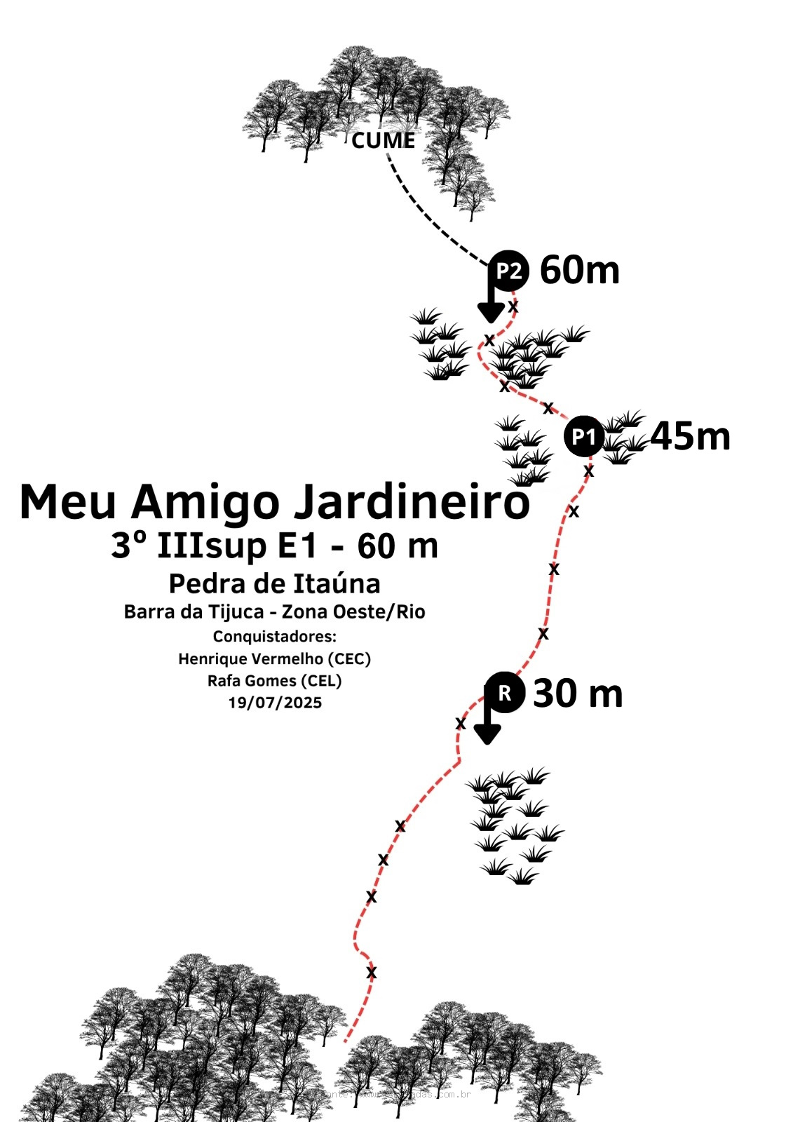 MEU AMIGO JARDINEIRO