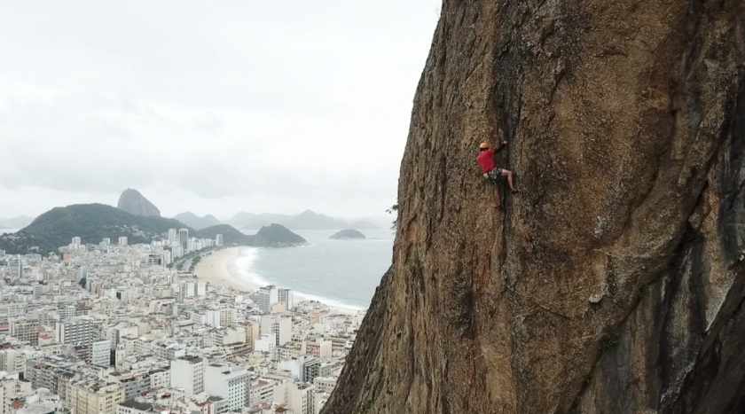 Onde os Frangos Não Têm Vez