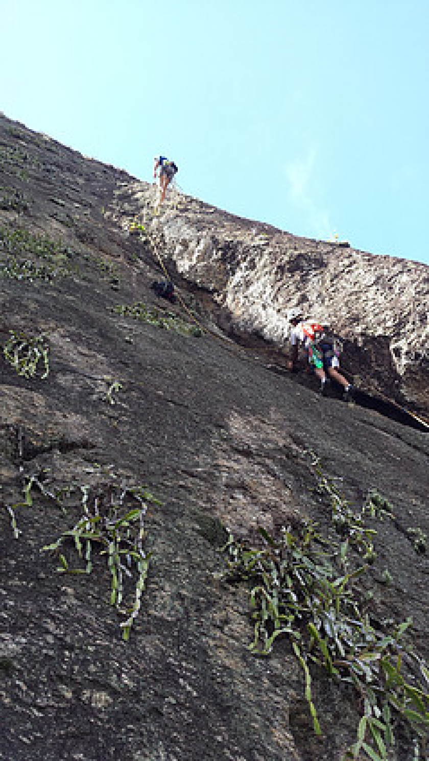 Cereja do Bolo