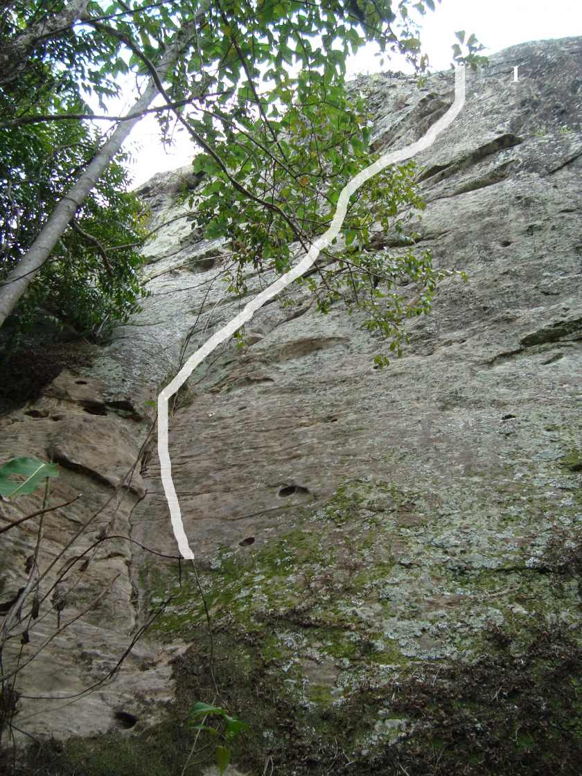 SETOR 2 Pedra Jonas A / 1 - Manjar de muriçoca