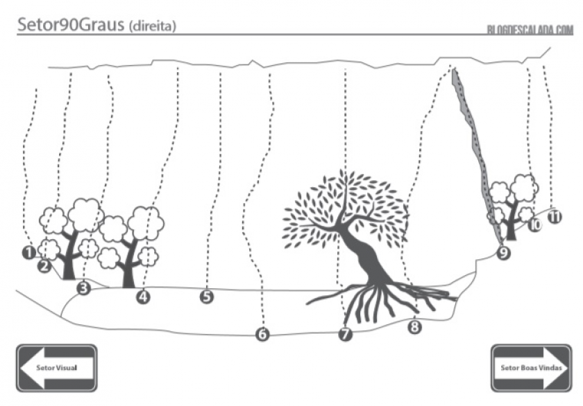 Quiropraxista