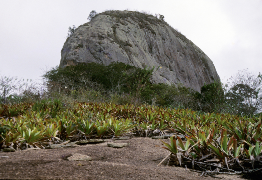 Chuva de Pedra