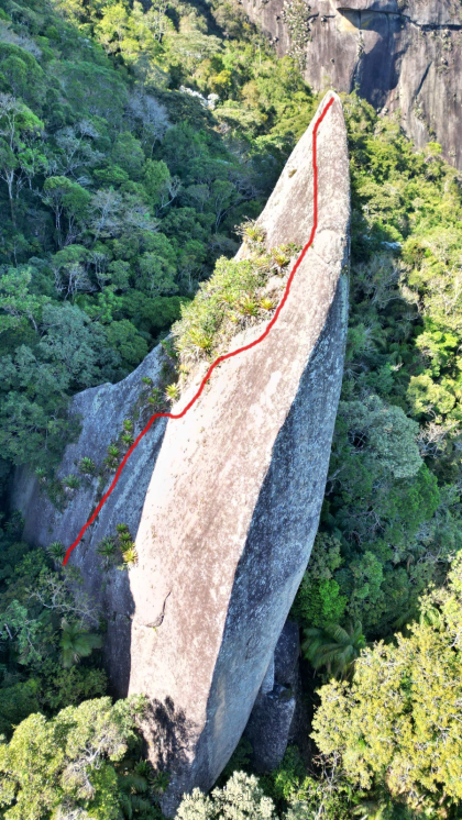 Chifre de Rinoceronte