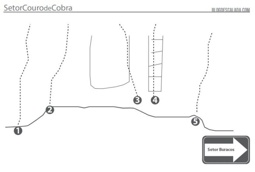 Couro de Cobra