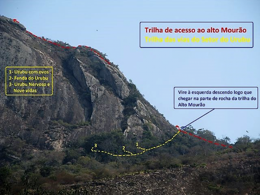 Nove Vidas e Uma Alma Perdida (Setor do Urubu)