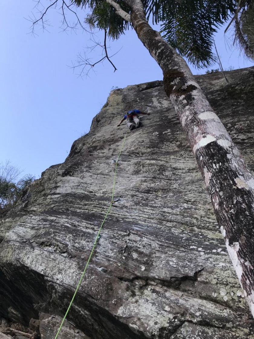 COVID Climbers