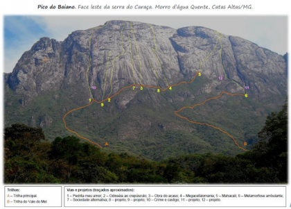 Sociedade Alternativa