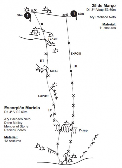 Escorpião Martelo