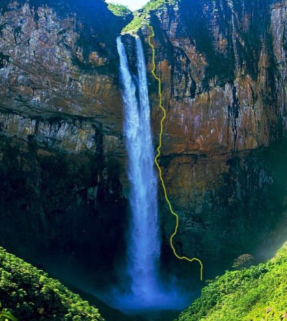 Natureza Selvagem
