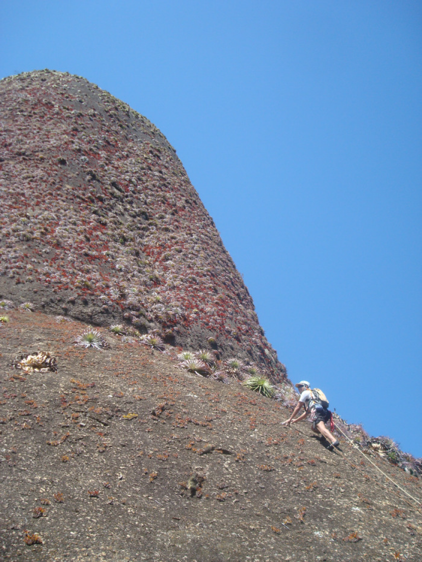 Inferno na Torre