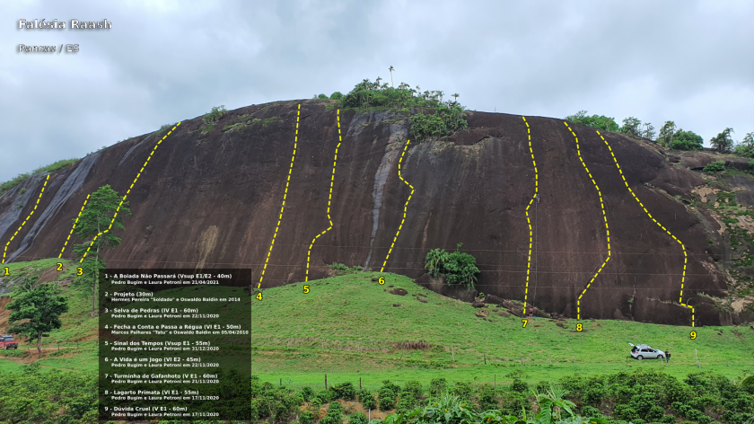 Selva de Pedras