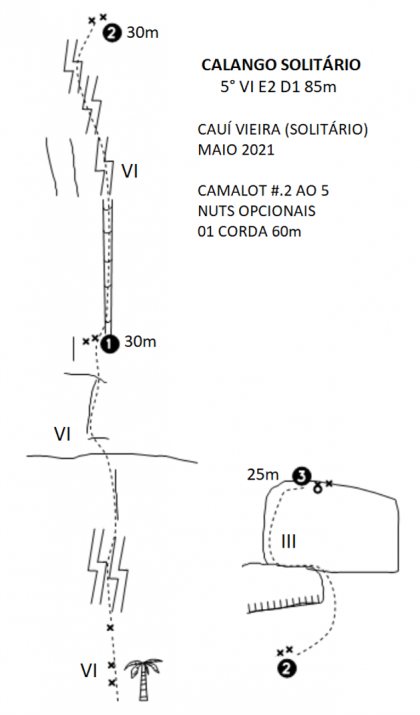 Calango Solitário