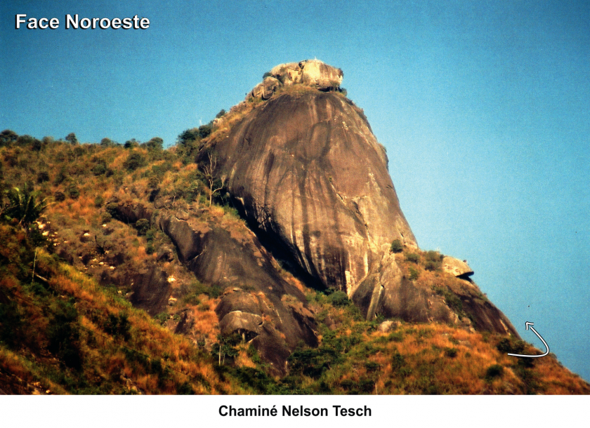 Chaminé Nelson Tesch