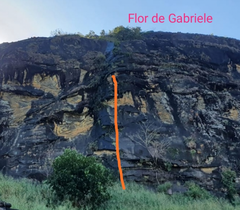 Flor de Gabréle