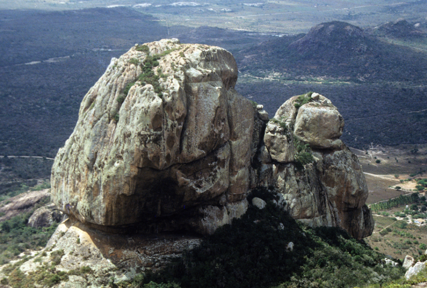 Barba de Velho