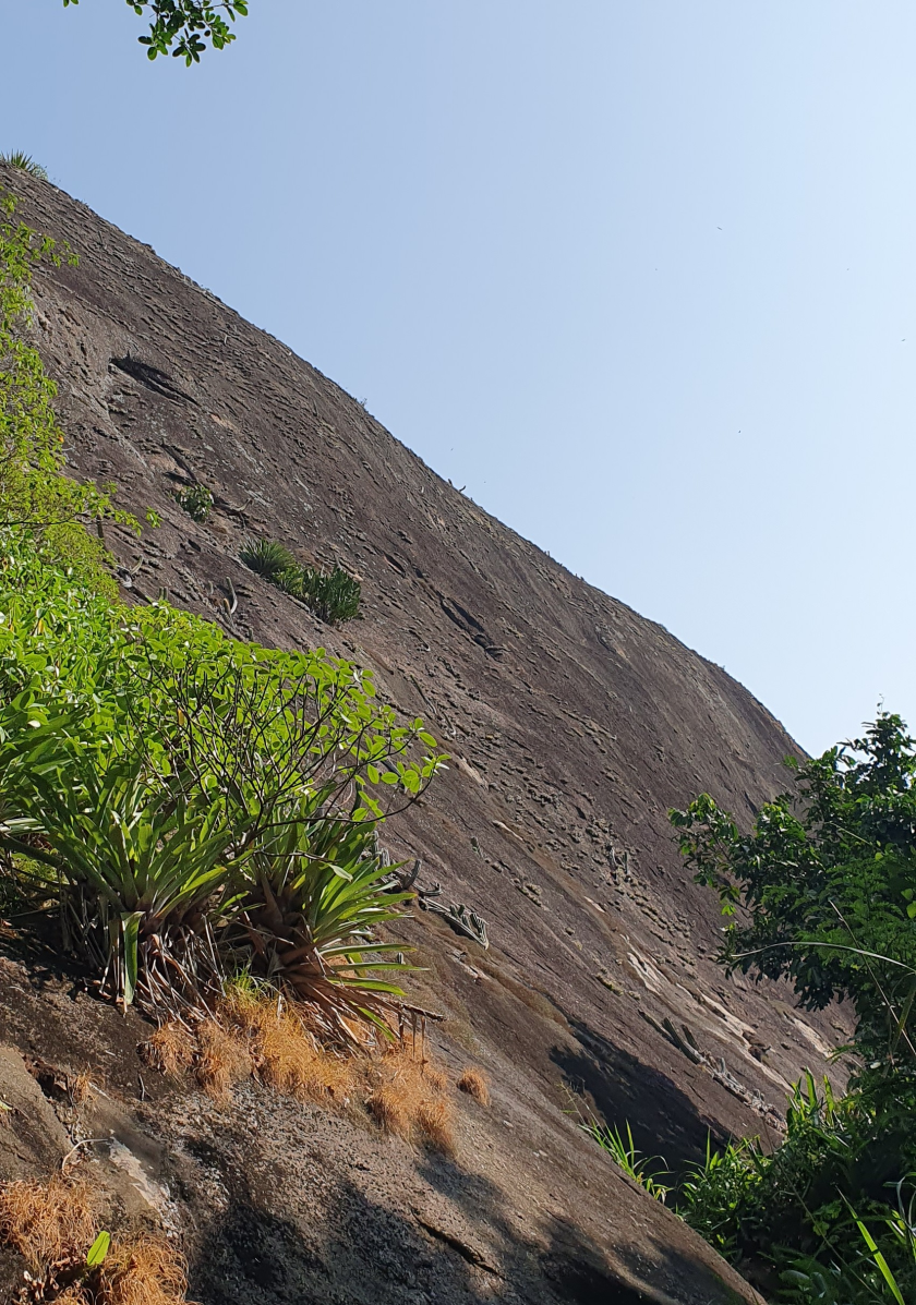 Via Golpe do Cartão