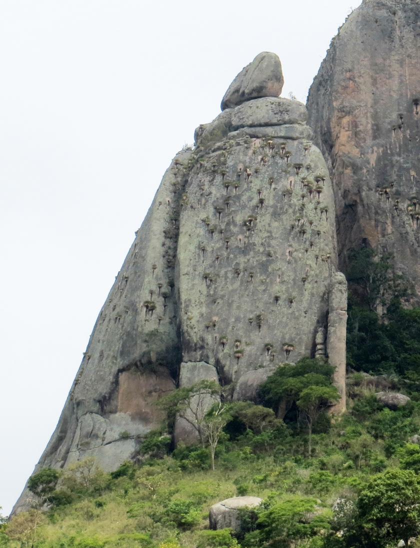 O Fantasma do Coronel