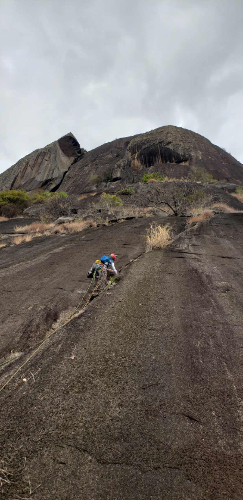 Escangalhados