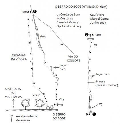 Escamas da Víbora