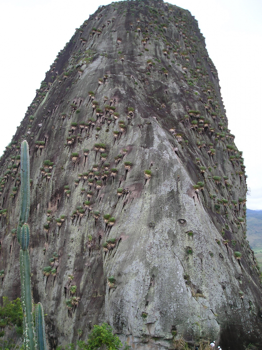 Farofa do Fábio