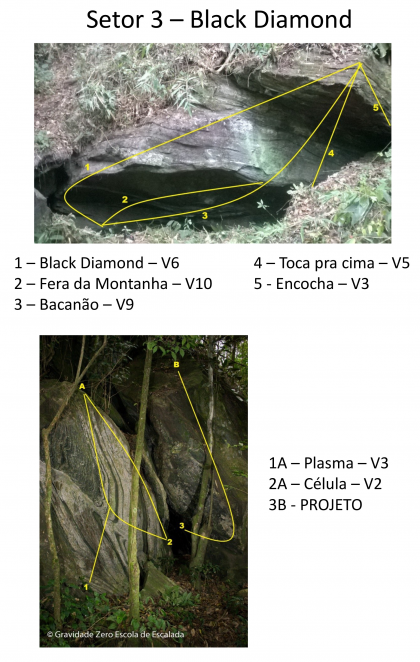 Fera da Montanha