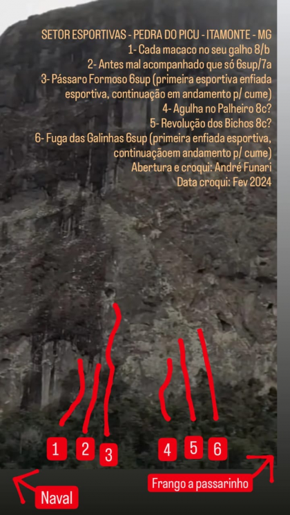 Cada Macaco no seu Galho